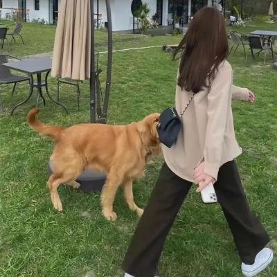 不砍梅树的傻瓜